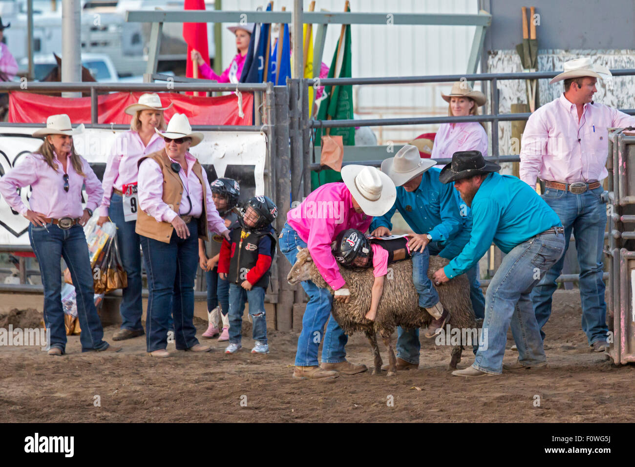 Estes Park, Colorado - Children ages 5-8 ride sheep during the Mutton Bustin' competition at the Rooftop Rodeo. Stock Photo