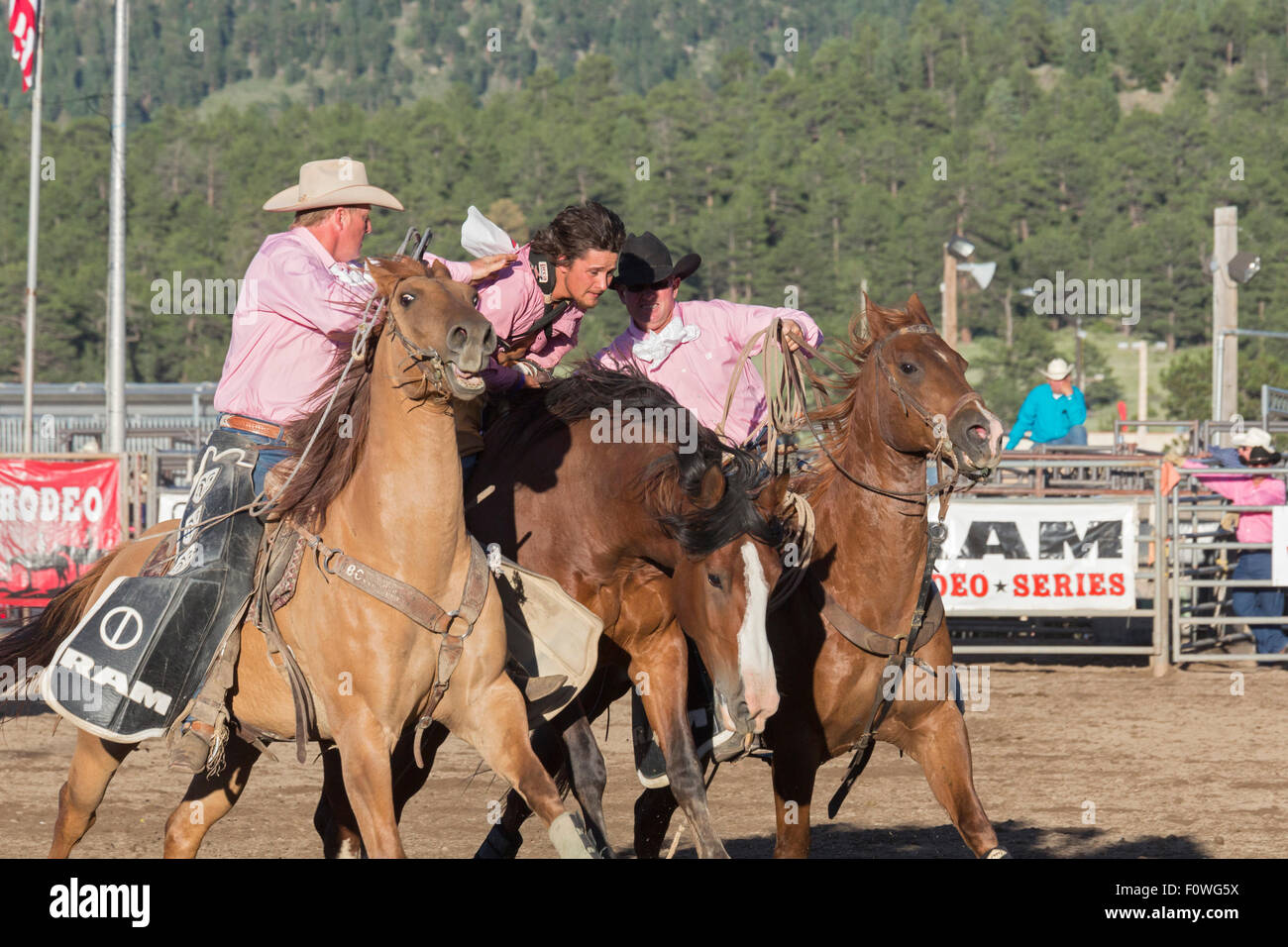 Estes Park, Colorado - Bareback riding competition at the Rooftop Rodeo. Pickup riders help a competitor (center) from his horse Stock Photo