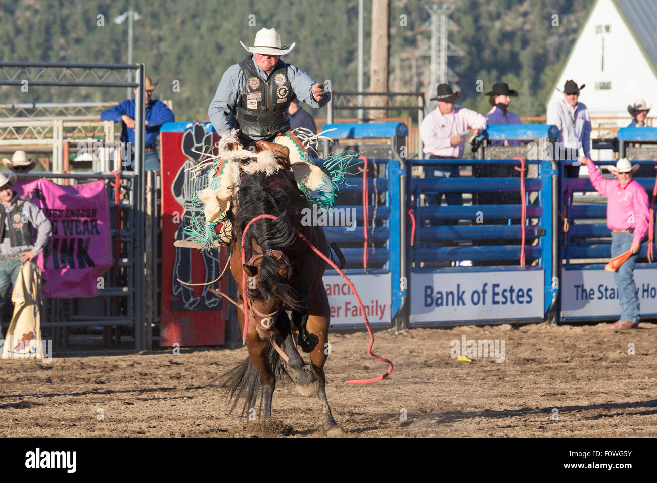 Estes Park, Colorado - Bareback riding competition at the Rooftop Rodeo. Stock Photo