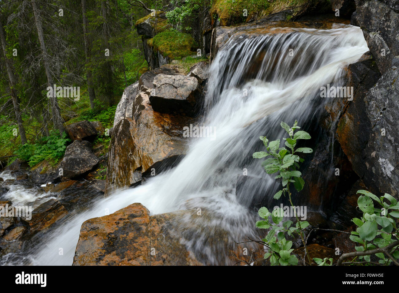 Small waterfall flowing over rocks along the King&#39;s Trail hiking trail, Padjelanta National Park, Kvikkjokk, Greater Laponia Rewilding Area, Lapland, Norrbotten, Sweden, June. Stock Photo
