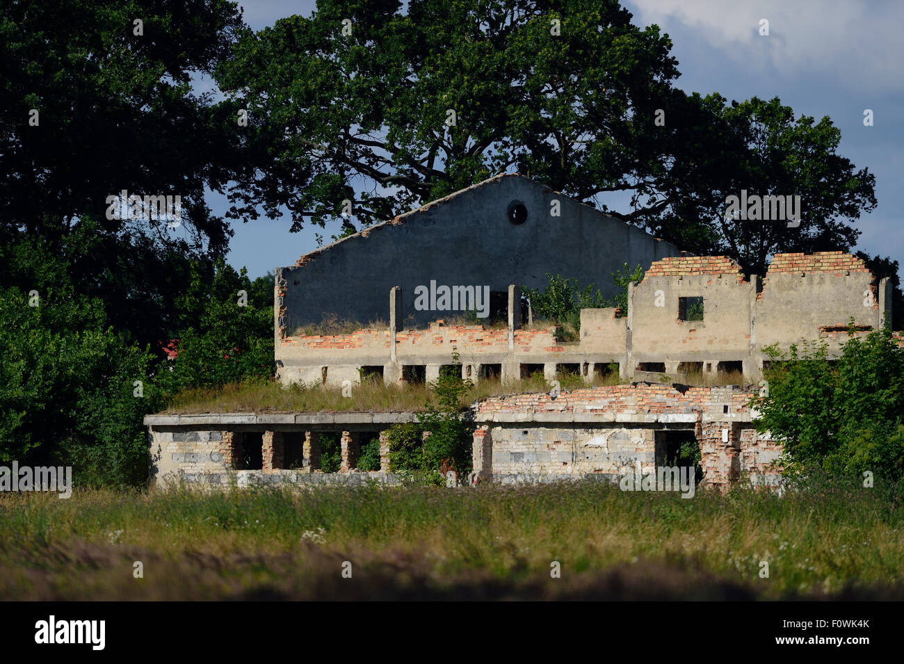 Abandoned farm building, Stepnica, Poland, July 2014. Stock Photo