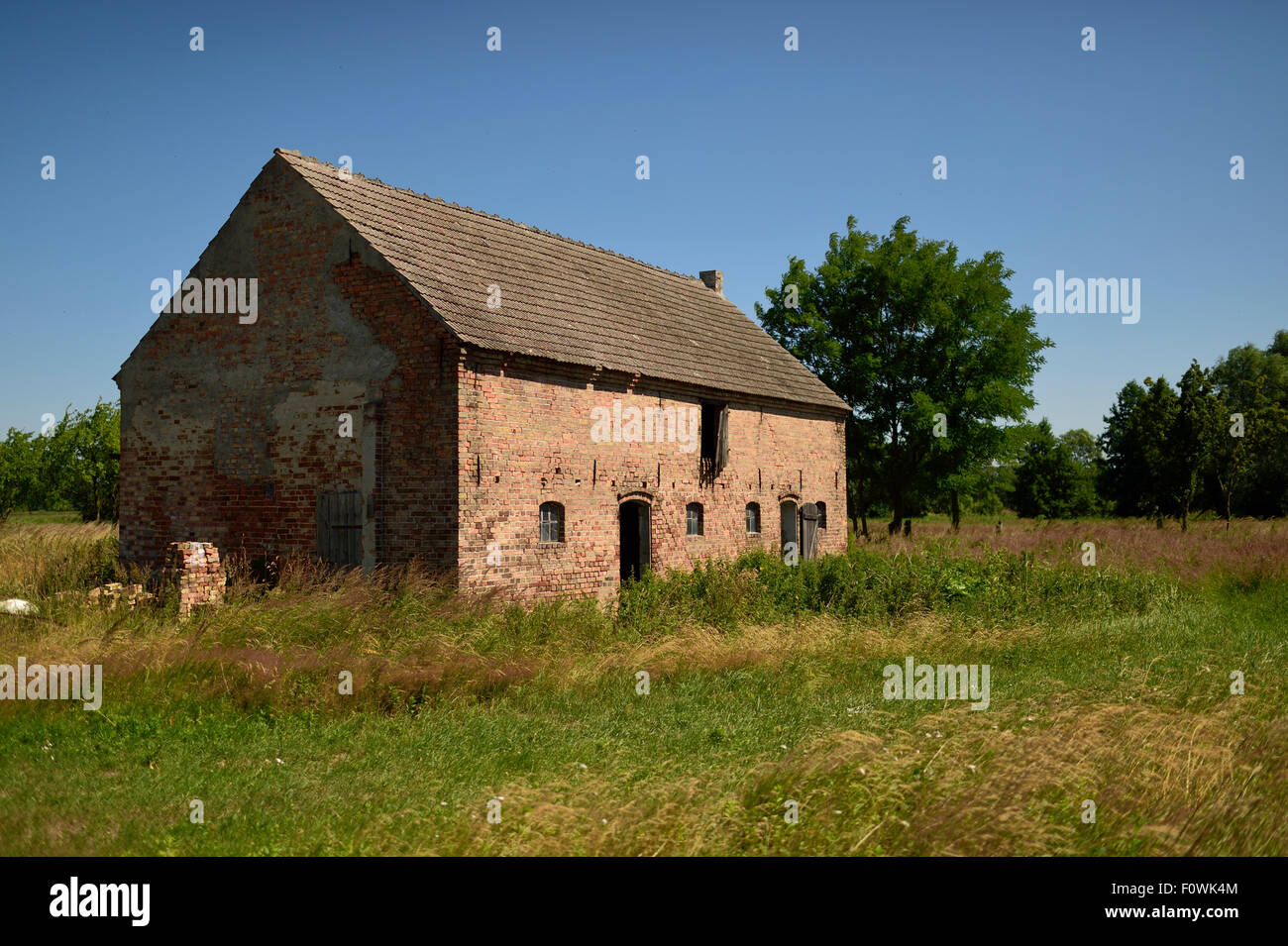 Abandoned farm building, Stepnica, Poland, July 2014. Stock Photo
