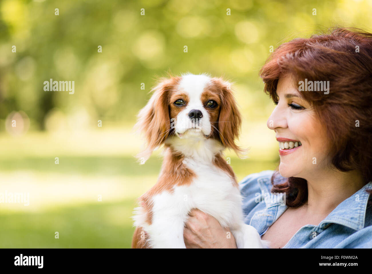Mature woman playing with her cavalier dog outdoor in park Stock Photo