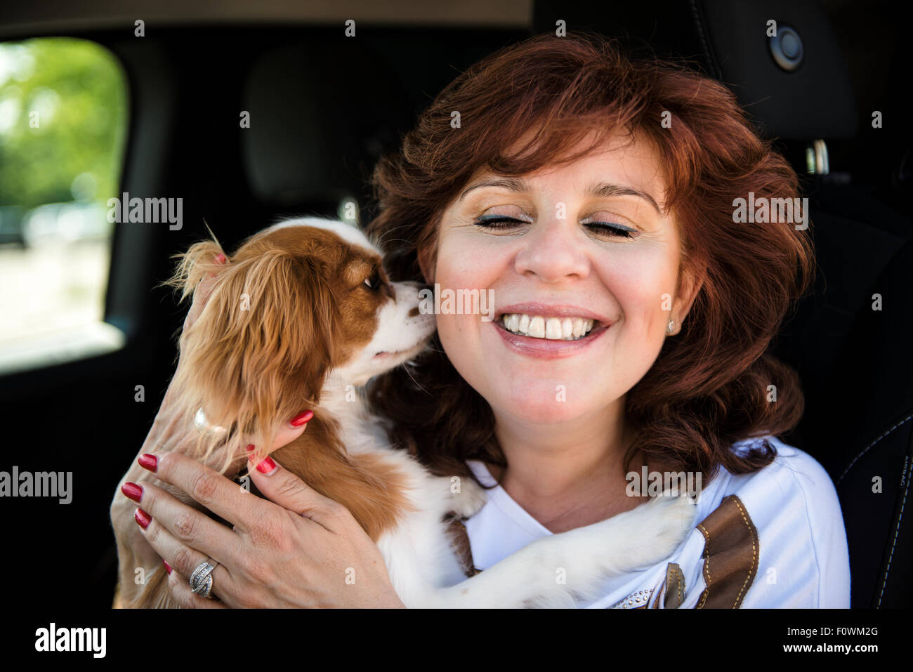 Mature woman hugging with her cavalier dog in car Stock Photo