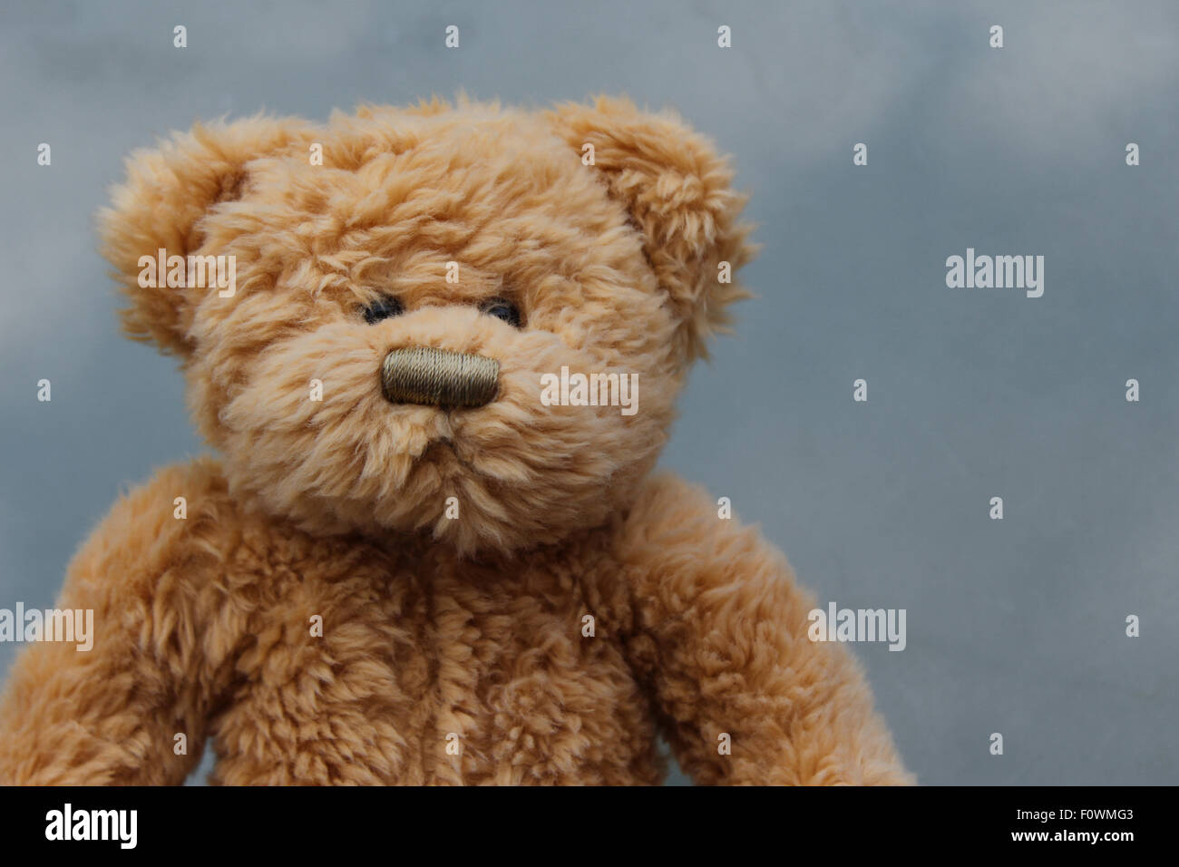 Golden Rustic Old Teddy Bear on grey background Stock Photo