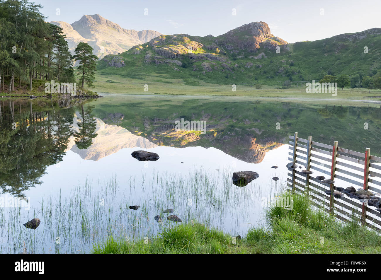 A near perfect reflection of the Langale Pikes and Side Pike in Blea Tarn, Little Langdale in the Lake District National Park Stock Photo