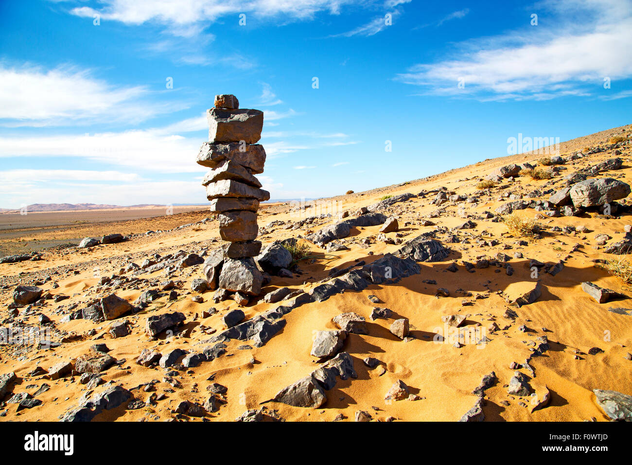 old fossil in  the desert of morocco sahara and rock  stone sky Stock Photo