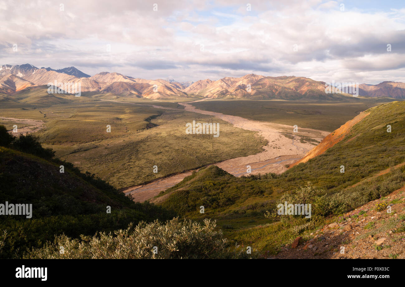 Mount Mather, Mount Brooks, Mt. Eldridge are all back there somewhere Stock Photo