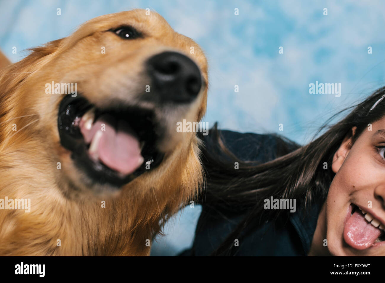 littel girl with her dog Stock Photo - Alamy