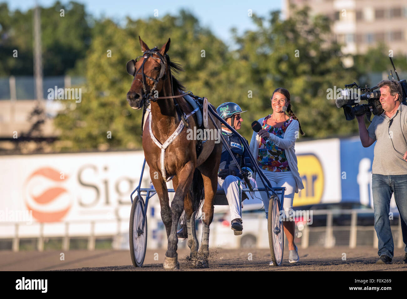 Harness race driver and trainer legend Stig H Johansson is interviewed