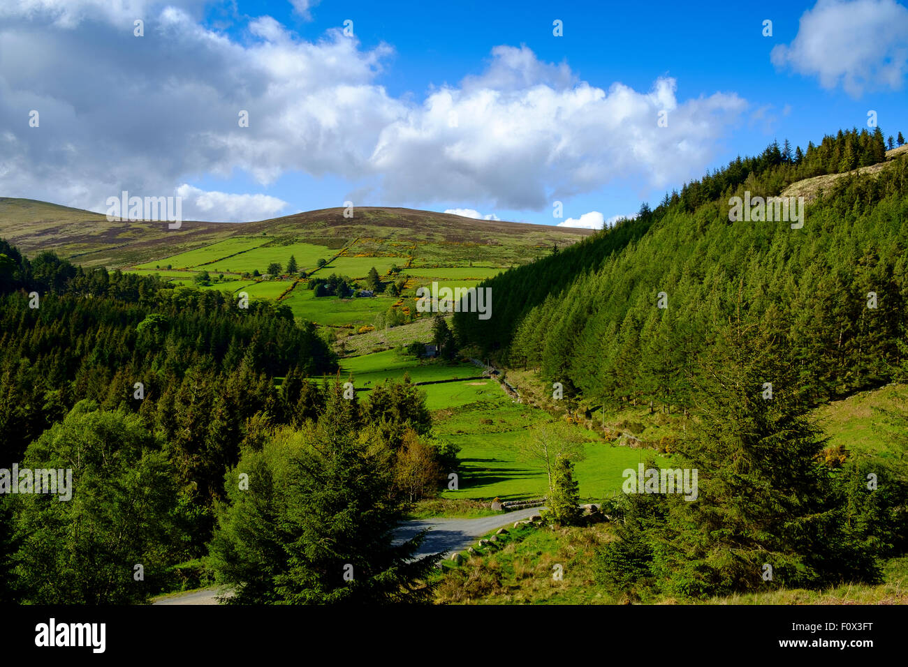 irish countryside ireland farmland green fields uk Stock Photo