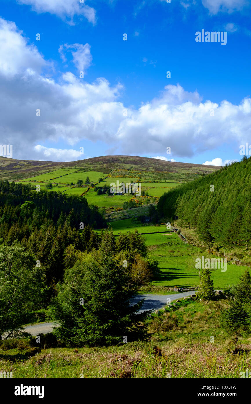 irish countryside ireland farmland green fields uk Stock Photo
