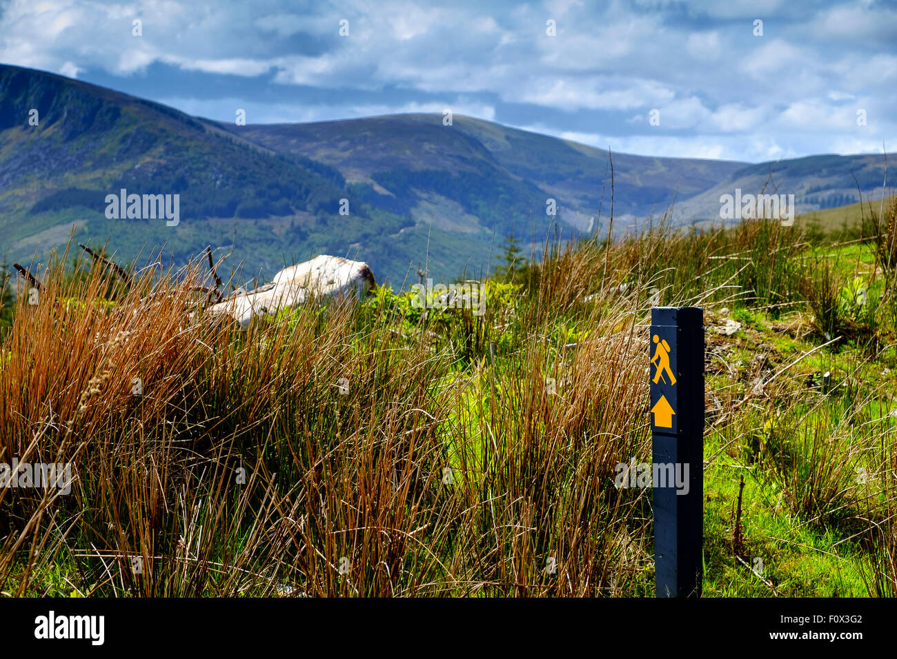 wicklow way walking trail ireland hills mountains Stock Photo