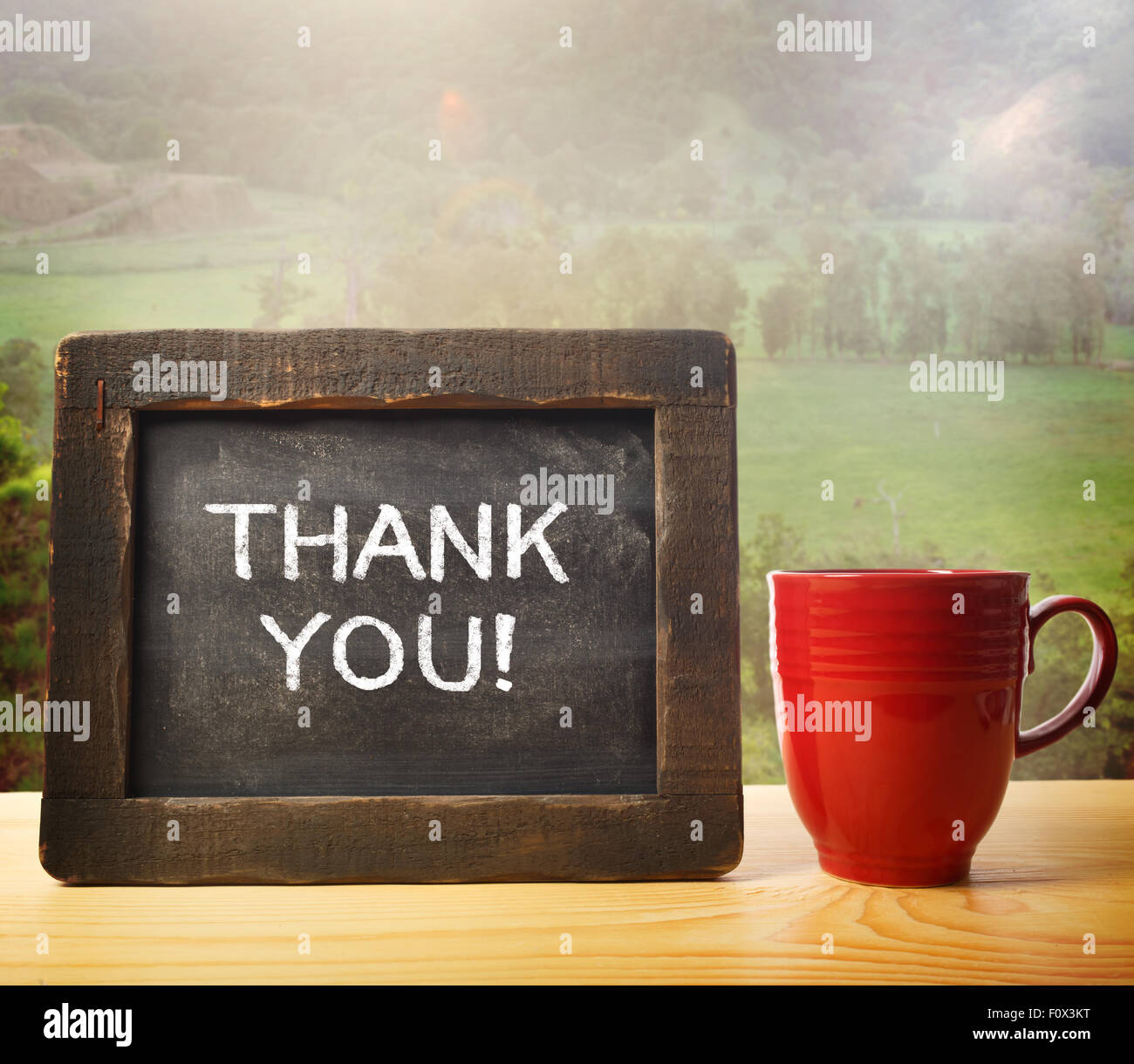 Thank you inscribed on chalkboard in rustic style Stock Photo
