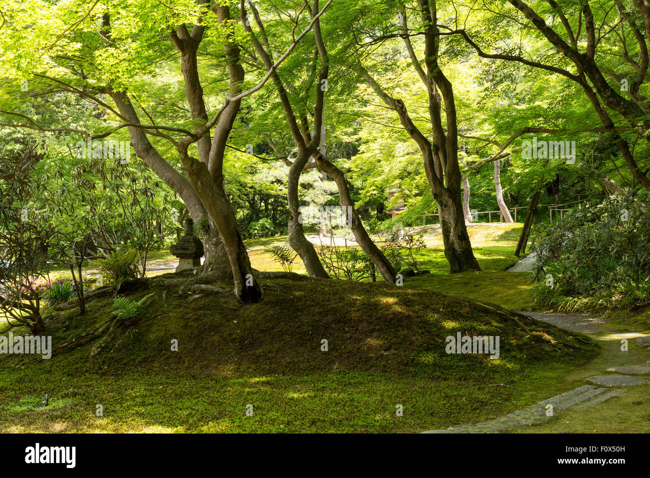 Yoshiki-en's moss garden, Nara, Nara Prefecture, Kansai region of Japan Stock Photo