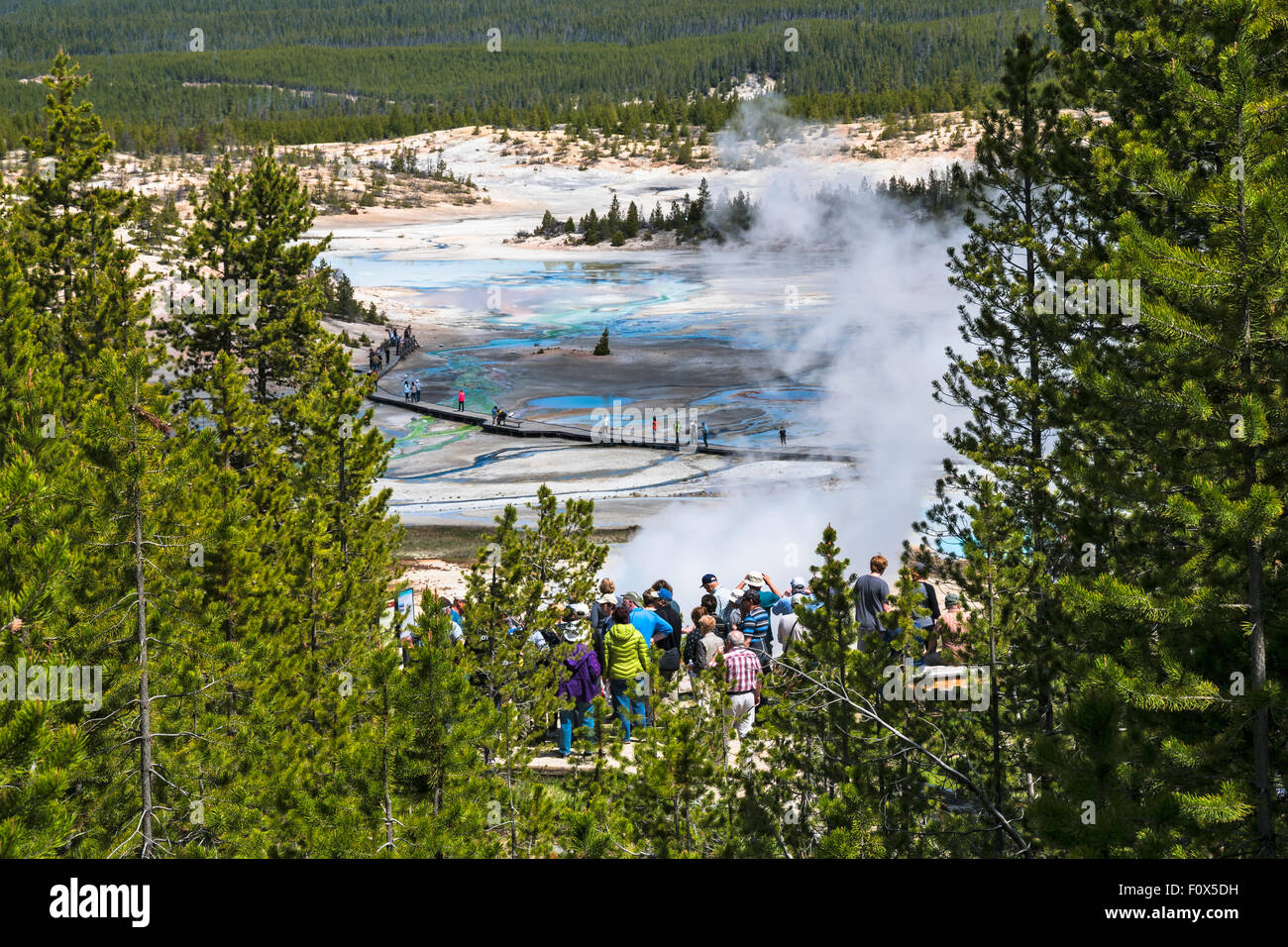 Boardwalks  wind through  Norris Geyser Basin thefor visitors to safely view , Yellowstone National Park , Wyoming, USA Stock Photo