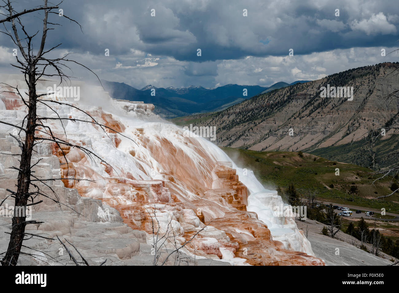 Mineral deposition, Upper Terrace at ,Yellowstone National Park , Wyoming, USA Stock Photo