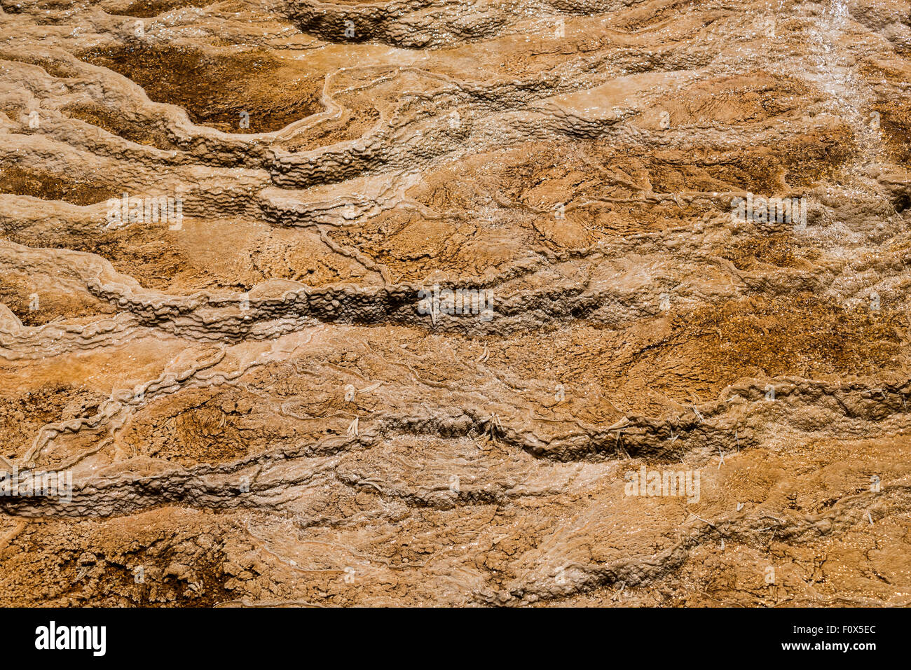 Pattern of Mineral deposition, Mammoth Hot Springs,Yellowstone National Park , Wyoming, USA Stock Photo