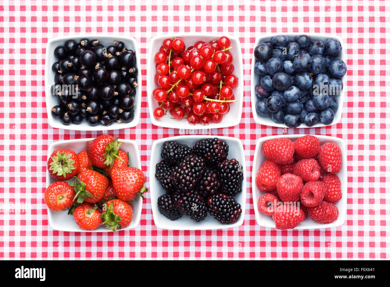 Redcurrants, Blackcurrants, Blackberries, Strawberries, Raspberries and Blueberries in white bowls on a checked background. Stock Photo