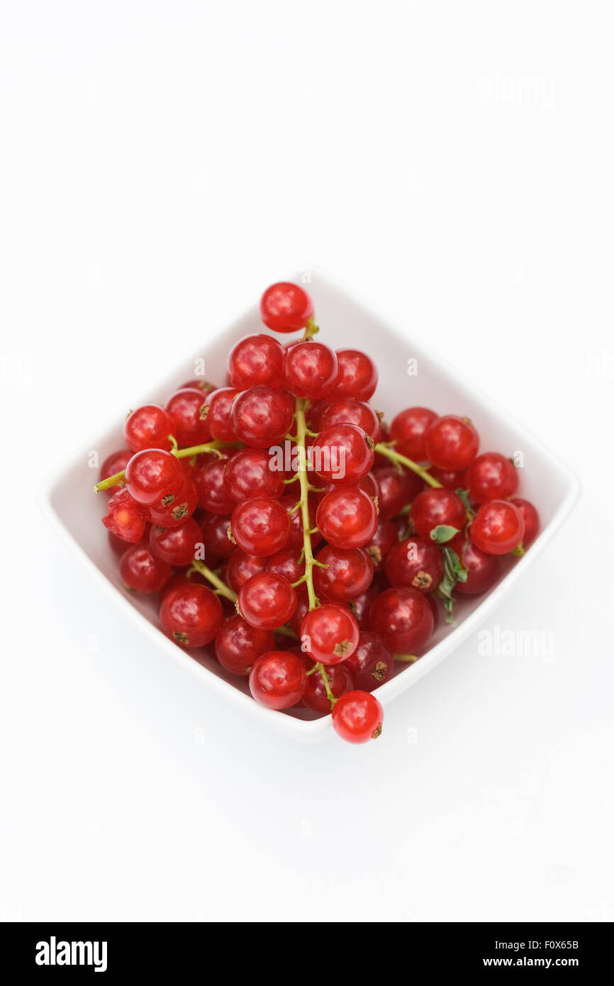 Redcurrants in a white bowl on a white background. Stock Photo