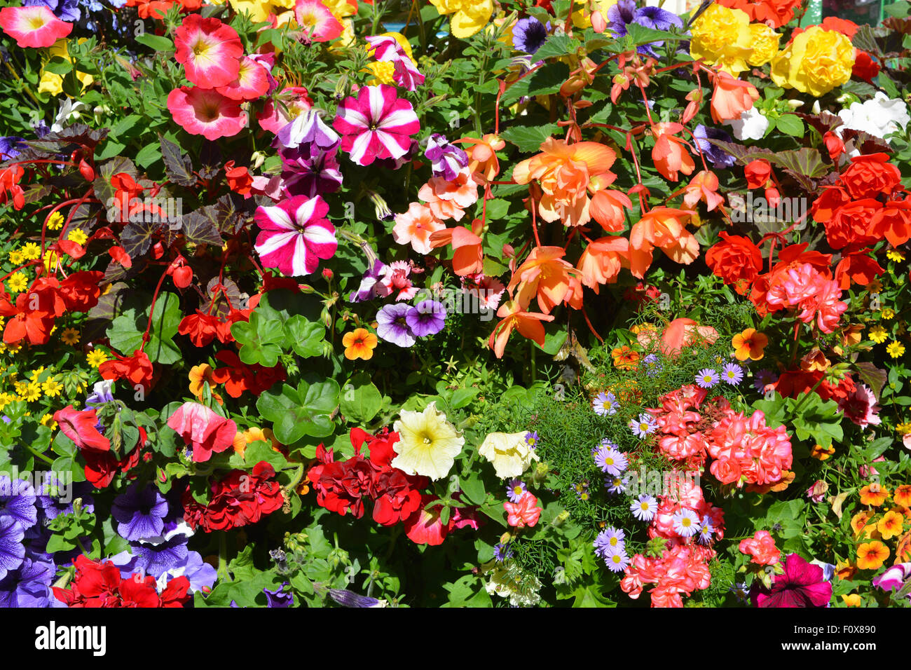 Stunning, colourful, window box in summer, Helmsley, North Yorkshire, England Stock Photo