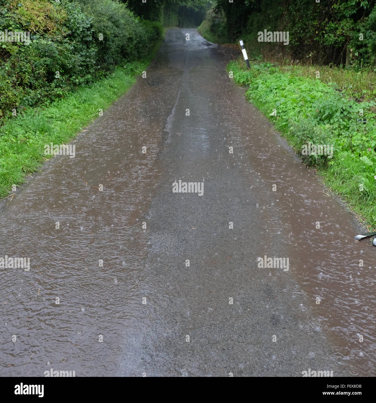 Herefordshire UK. 22nd August, 2015. After a day of very hot and humid weather a summer thunderstorm brought torrential rain down at Titley Herefordshire at 6.15pm causing flooding on many country lanes that lack drains. Stock Photo