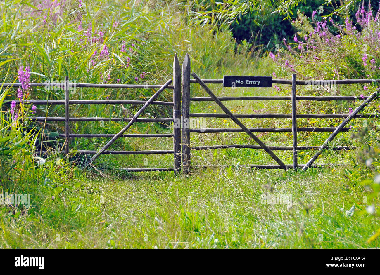Wooden gate at the meadow in London Wetland Center, England Stock Photo