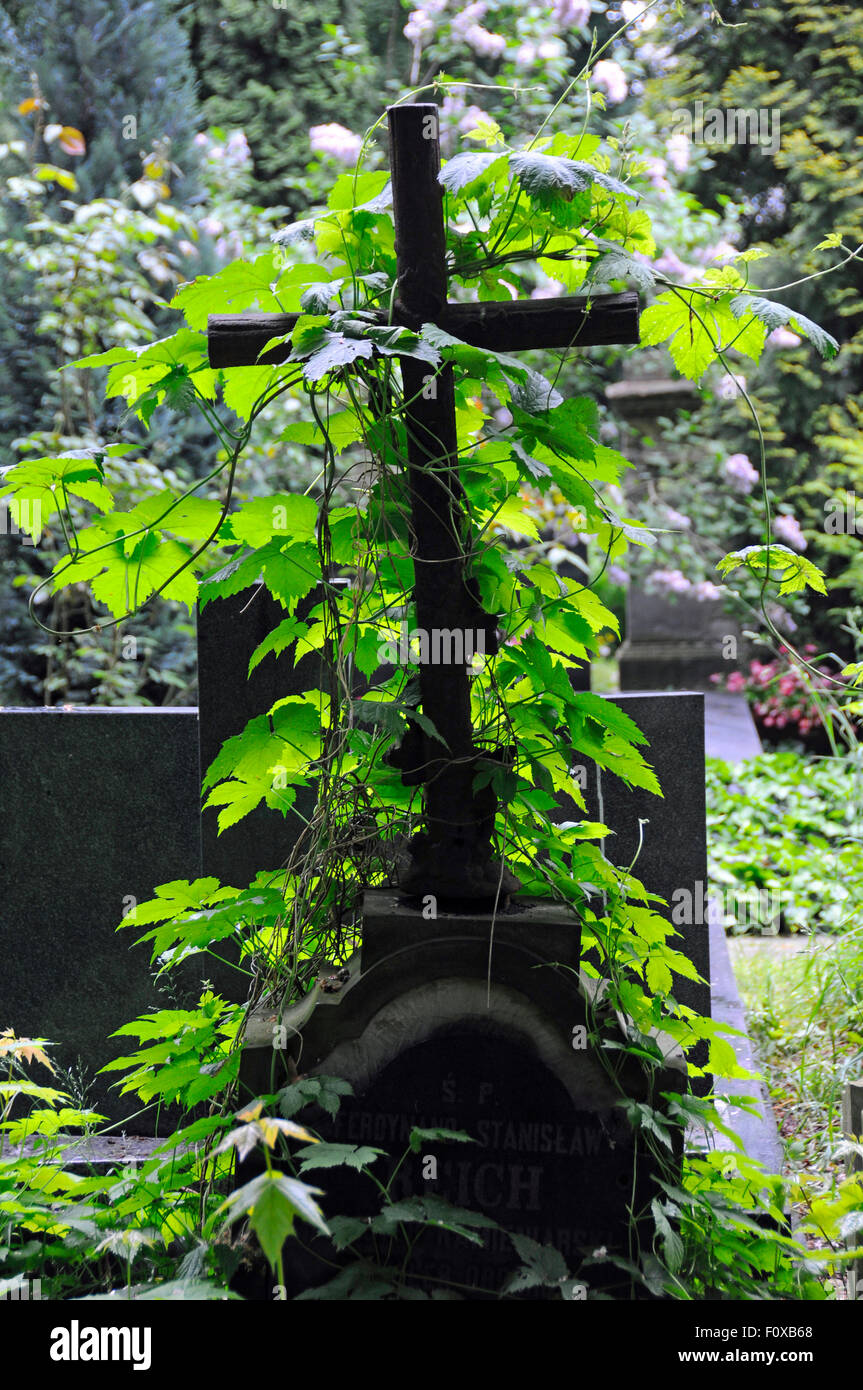 Cemetery Cross Rip Rip grave cross hi-res stock photography and images - Alamy
