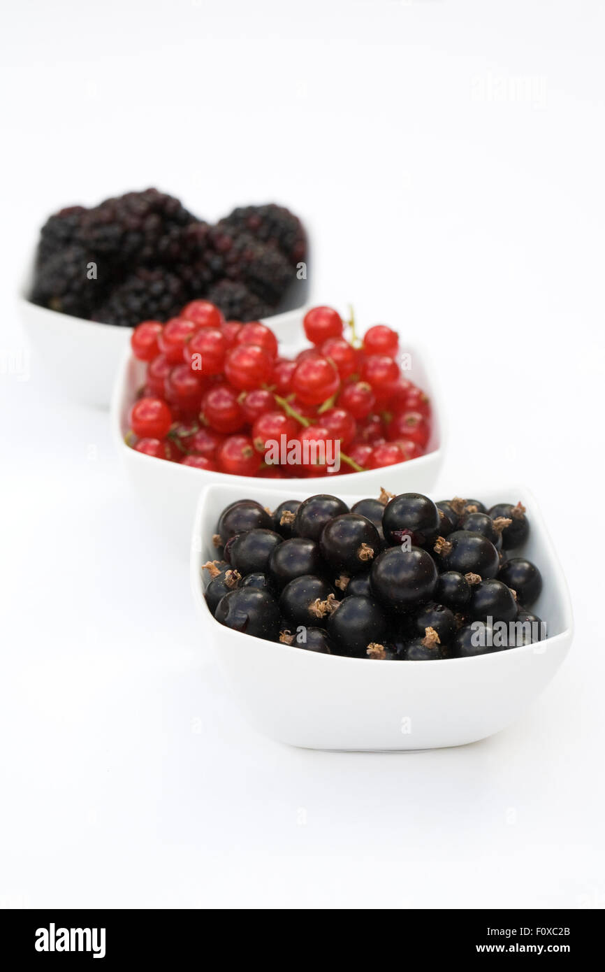 Redcurrants, Blackcurrants and Blackberries in white bowls on a white background. Stock Photo