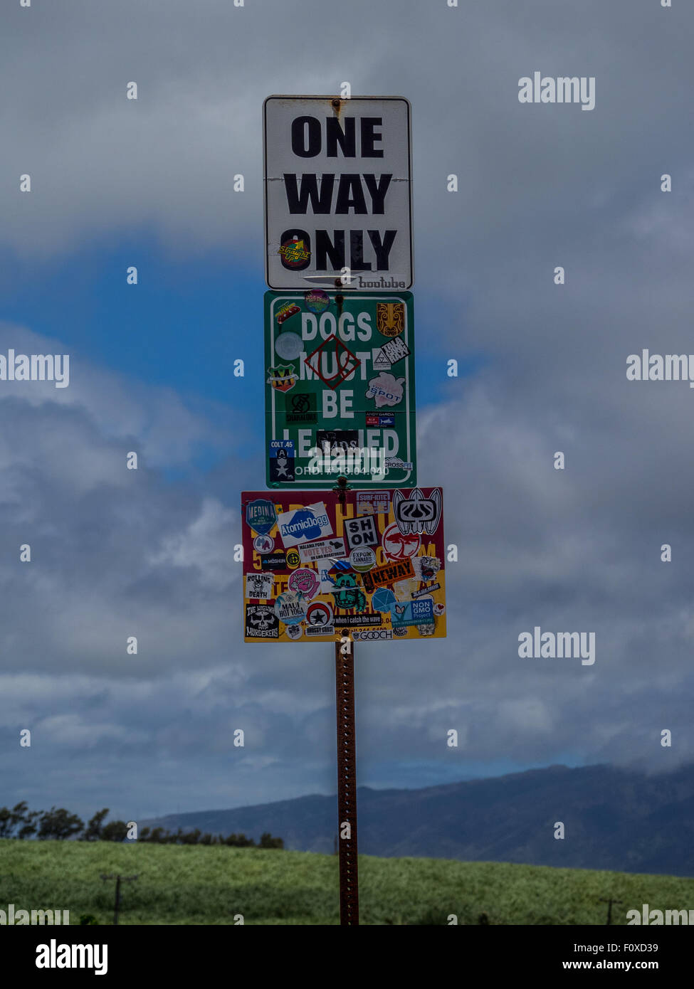 Road/Highway Sign in Maui with stickers covering it. Many signs like this in Maui mainly Surfing