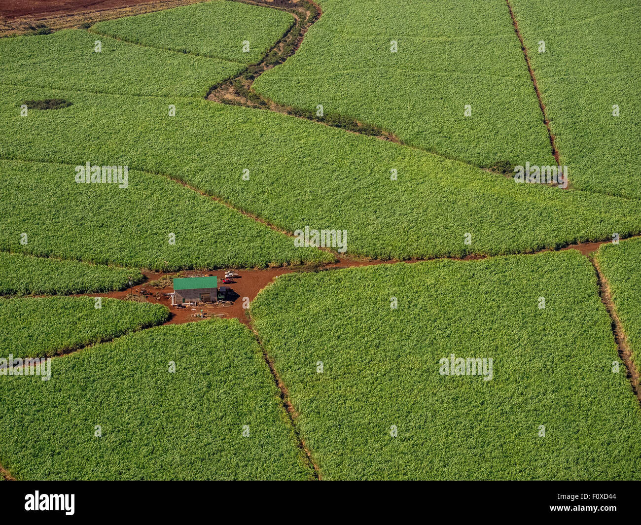 Sugar Cane Fields in Maui image taken from Helicopter Stock Photo Alamy