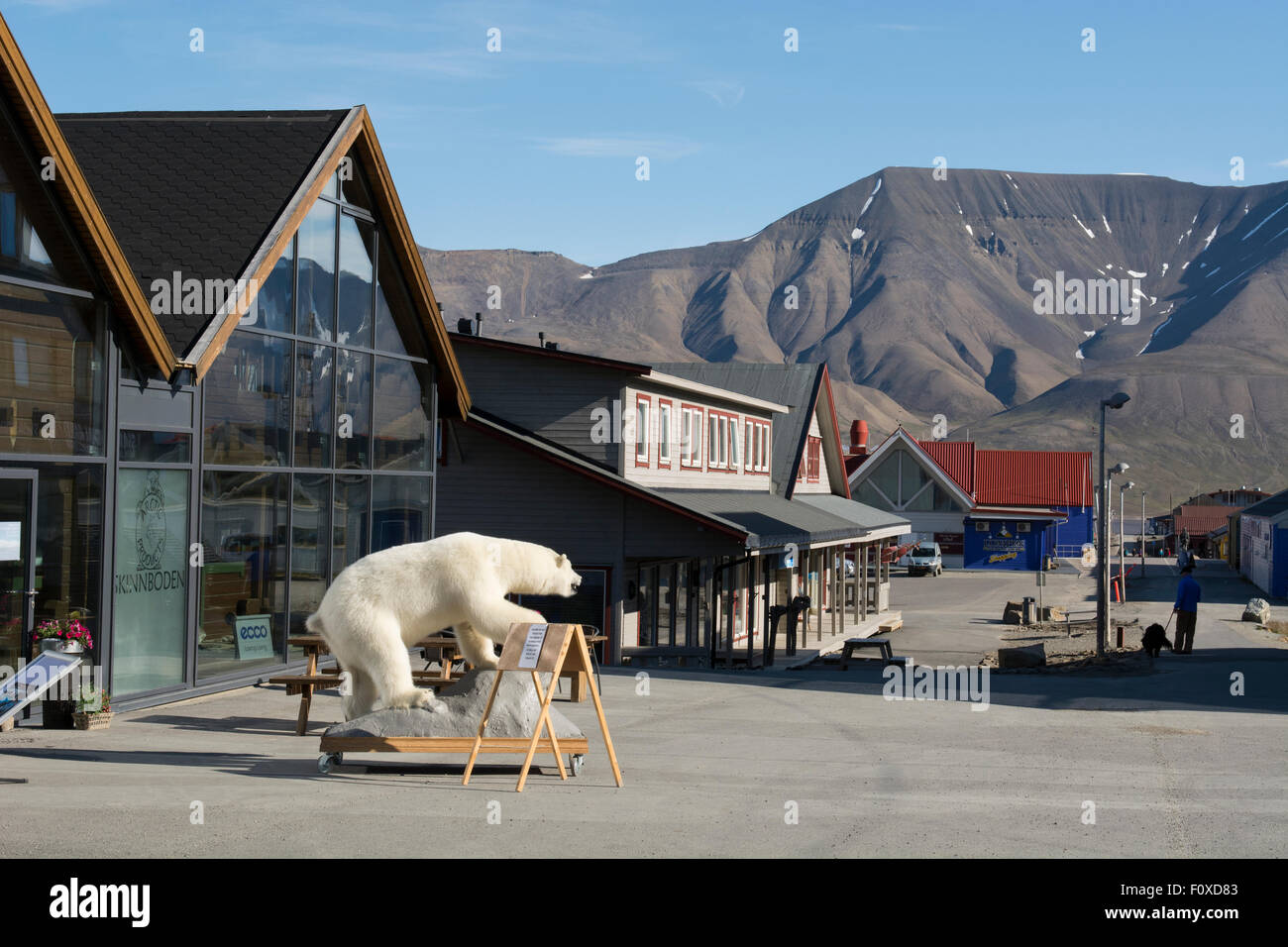 Norway, Barents Sea, Svalbard archipelago, Spitsbergen, capital city of Longyearbyen, downtown shopping area with stuffed bear. Stock Photo