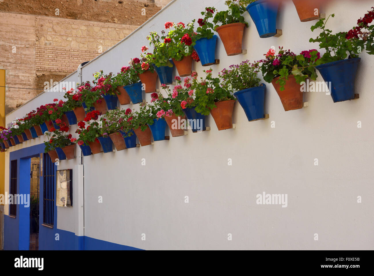 Potted geranium flowers along white stucco wall on the route of Patios of Alcazar Viejo Cordoba Stock Photo