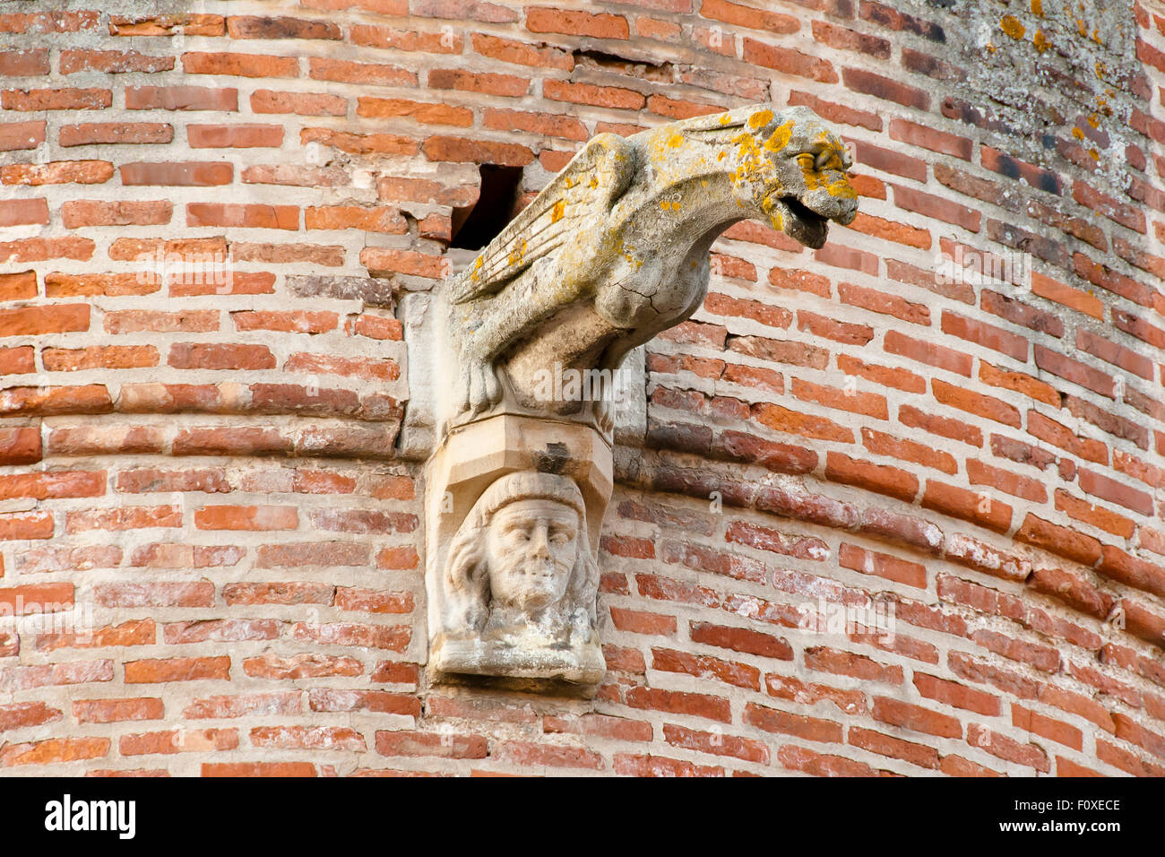 Gargoyles on Albi Cathedral - Albi - France Stock Photo
