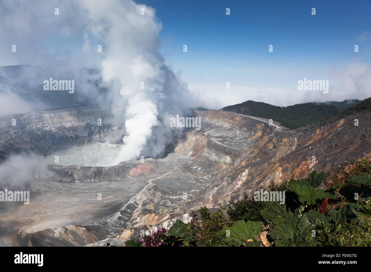 Sulfur steam escaping from the water filled caldera of Poas Volcano in Costa Rica. Stock Photo
