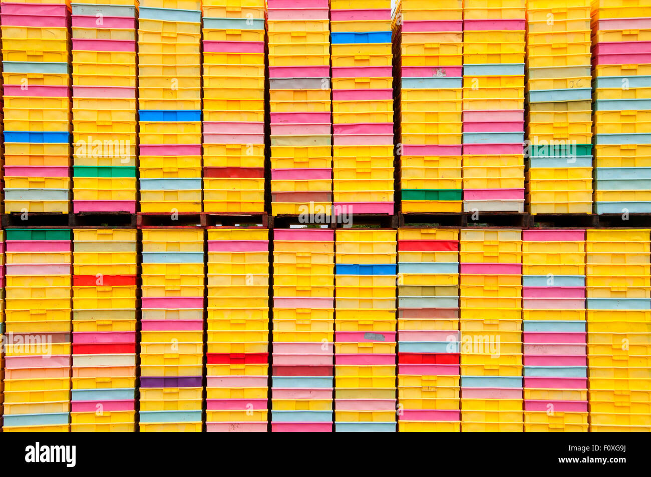 Berry pallets, Lynden, Washington Stock Photo Alamy