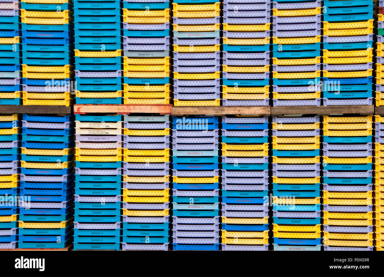 Berry pallets, Lynden, Washington Stock Photo Alamy