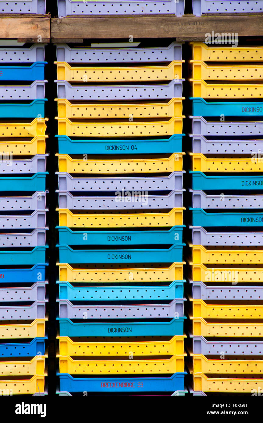 Flat pallets hires stock photography and images Alamy