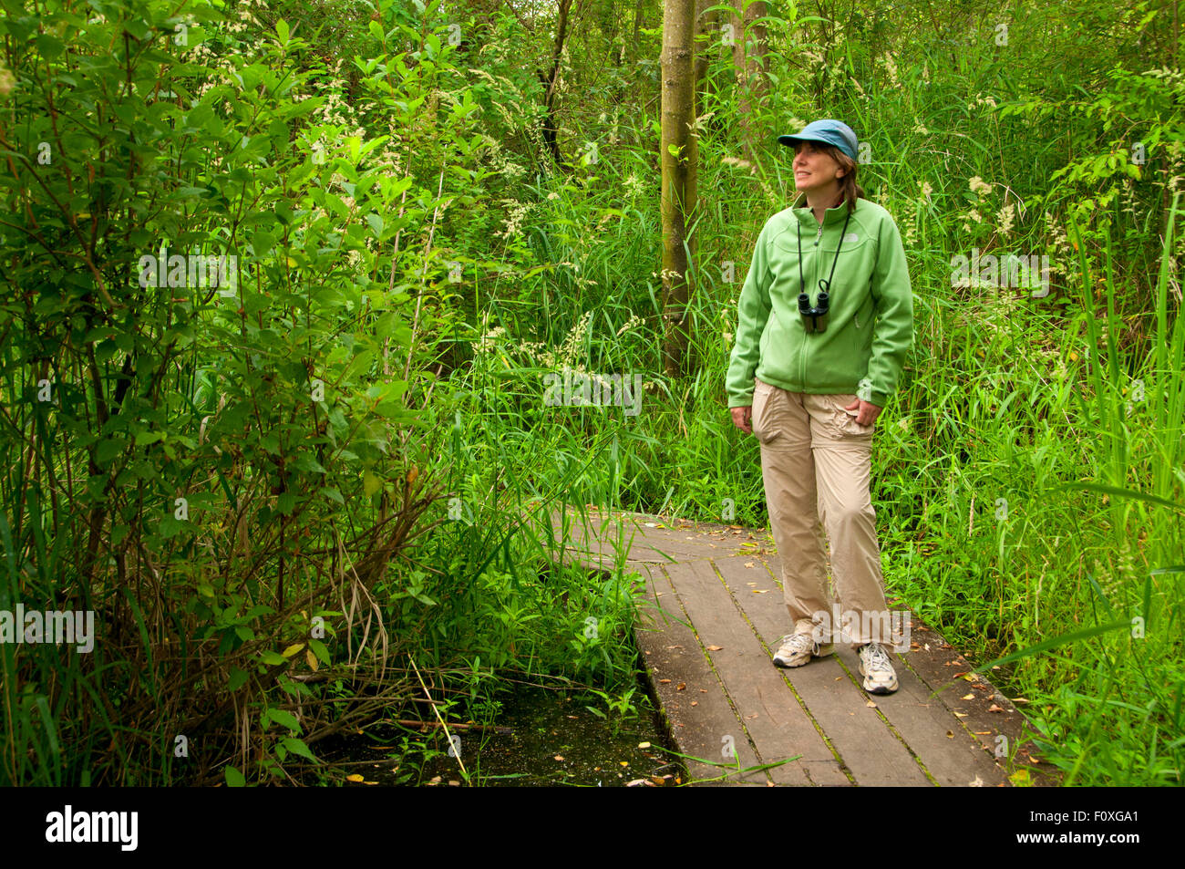 Tennant lake park hires stock photography and images Alamy