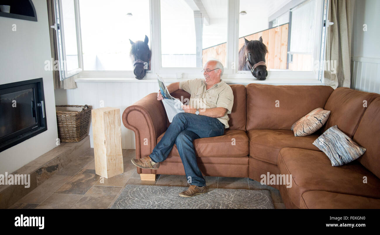 A Horse For Living Room Stock Photos A Horse For Living Room