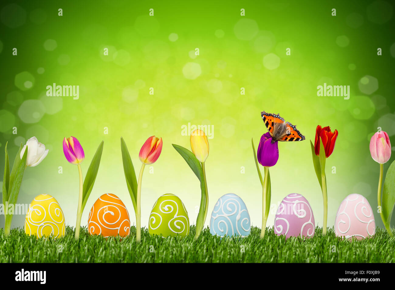 easter eggs and tulips in front of green background Stock Photo - Alamy