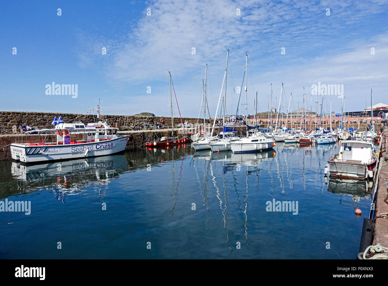 The harbour in North Berwick East Lothian Scotland Stock Photo