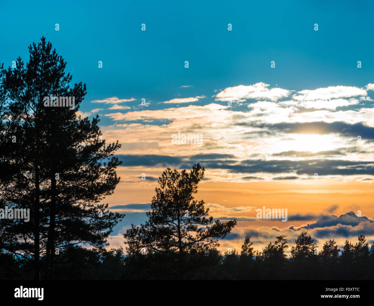 Beautiful autumn forest and clouds at sunset Stock Photo - Alamy
