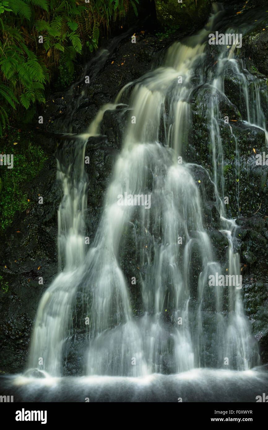 Waterfall. Glenariff Forest Park. North Ireland, U.K. , Europe Stock Photo