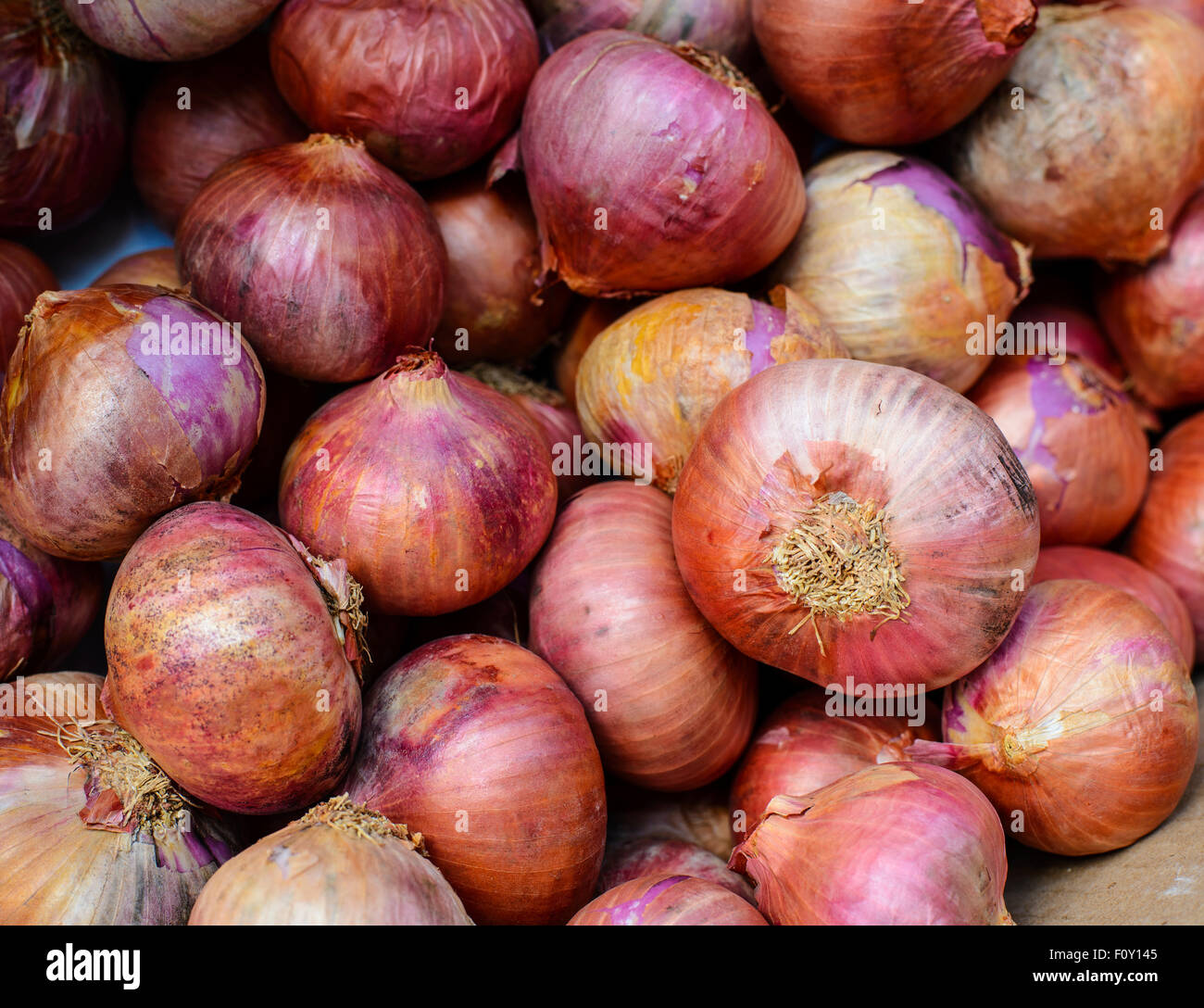 Onion abundance hi-res stock photography and images - Alamy