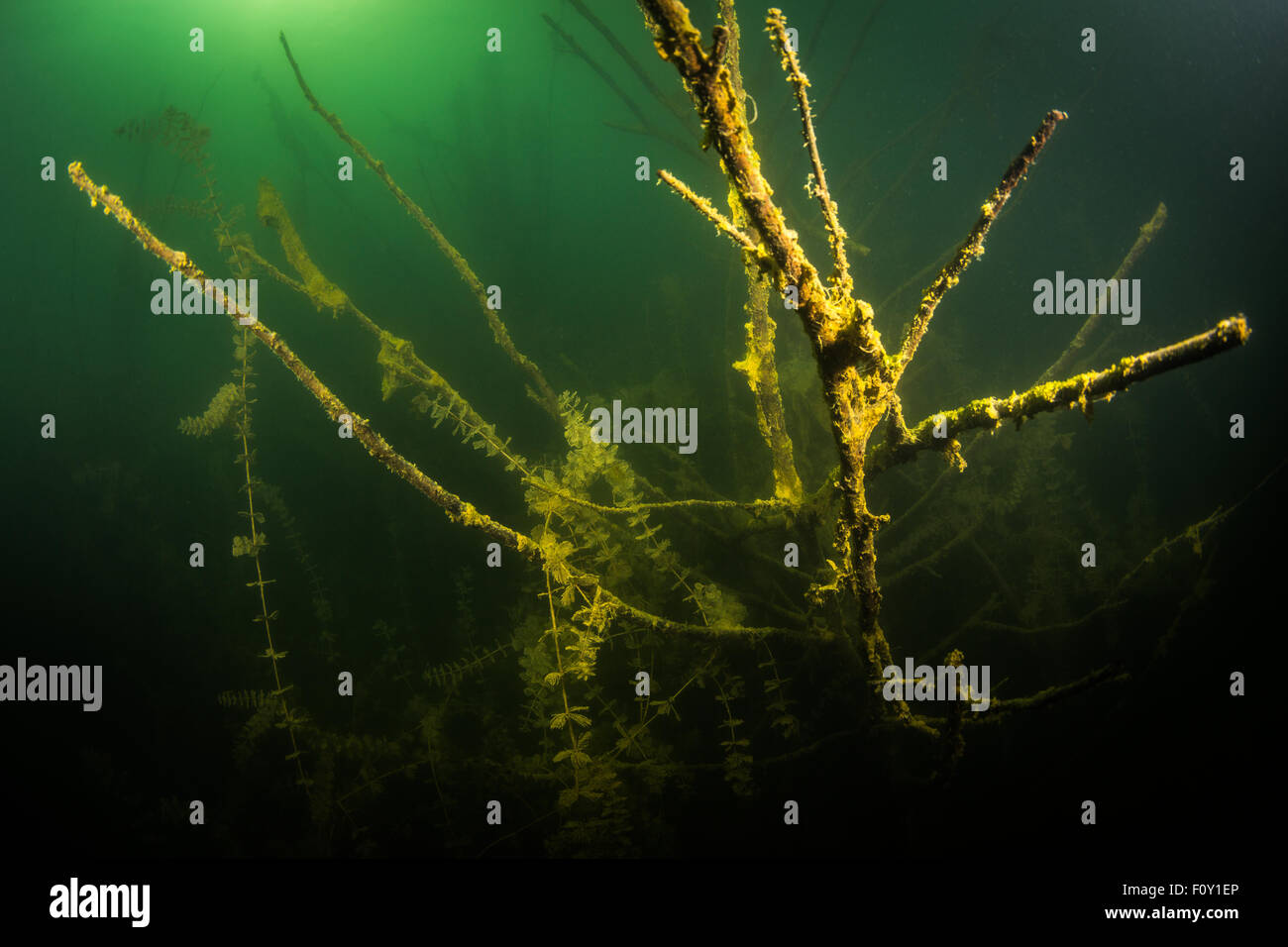 Underwater river Stock Photo Alamy