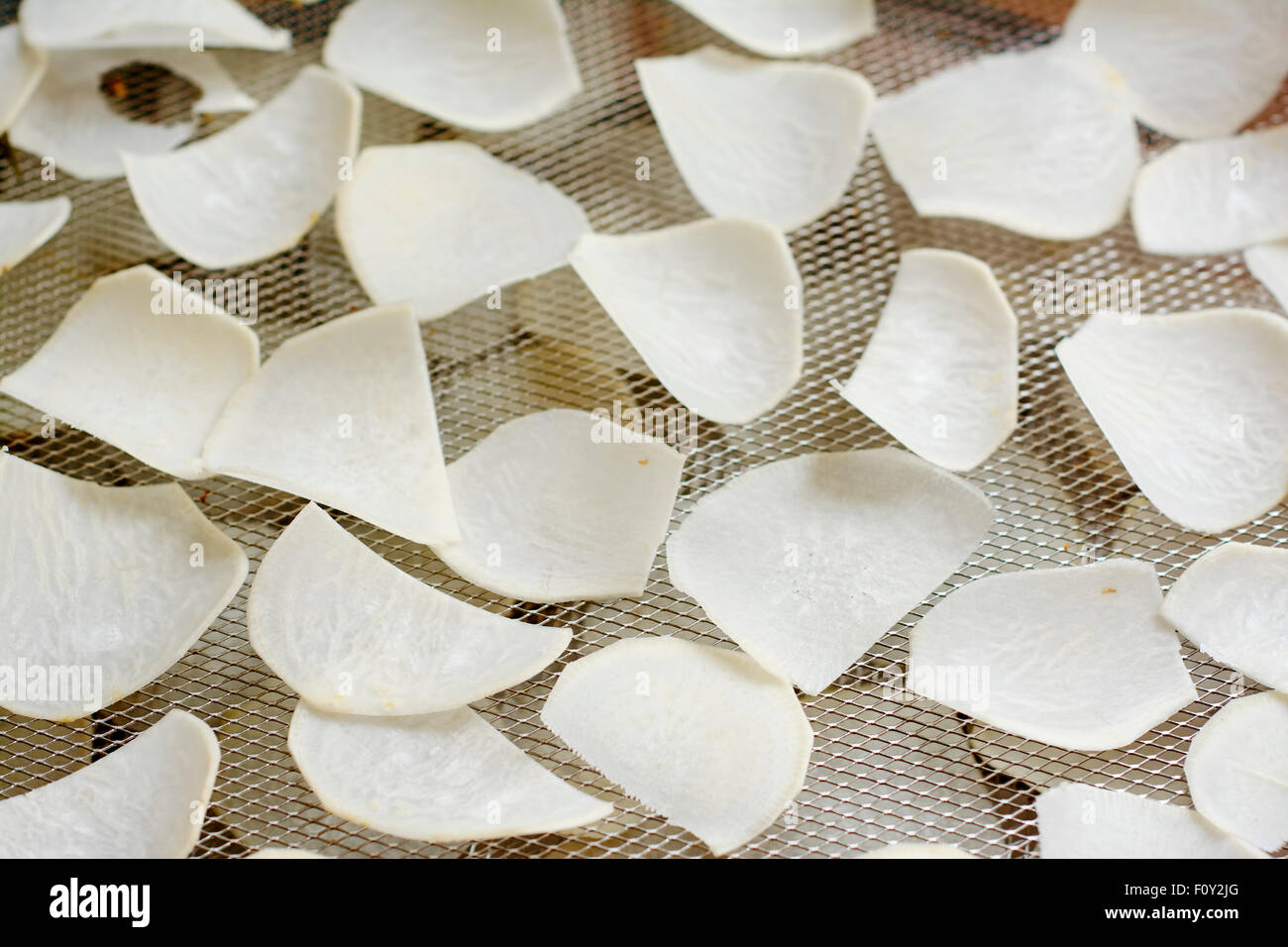 Sliced turnips on the rack of a dehydrator Stock Photo Alamy