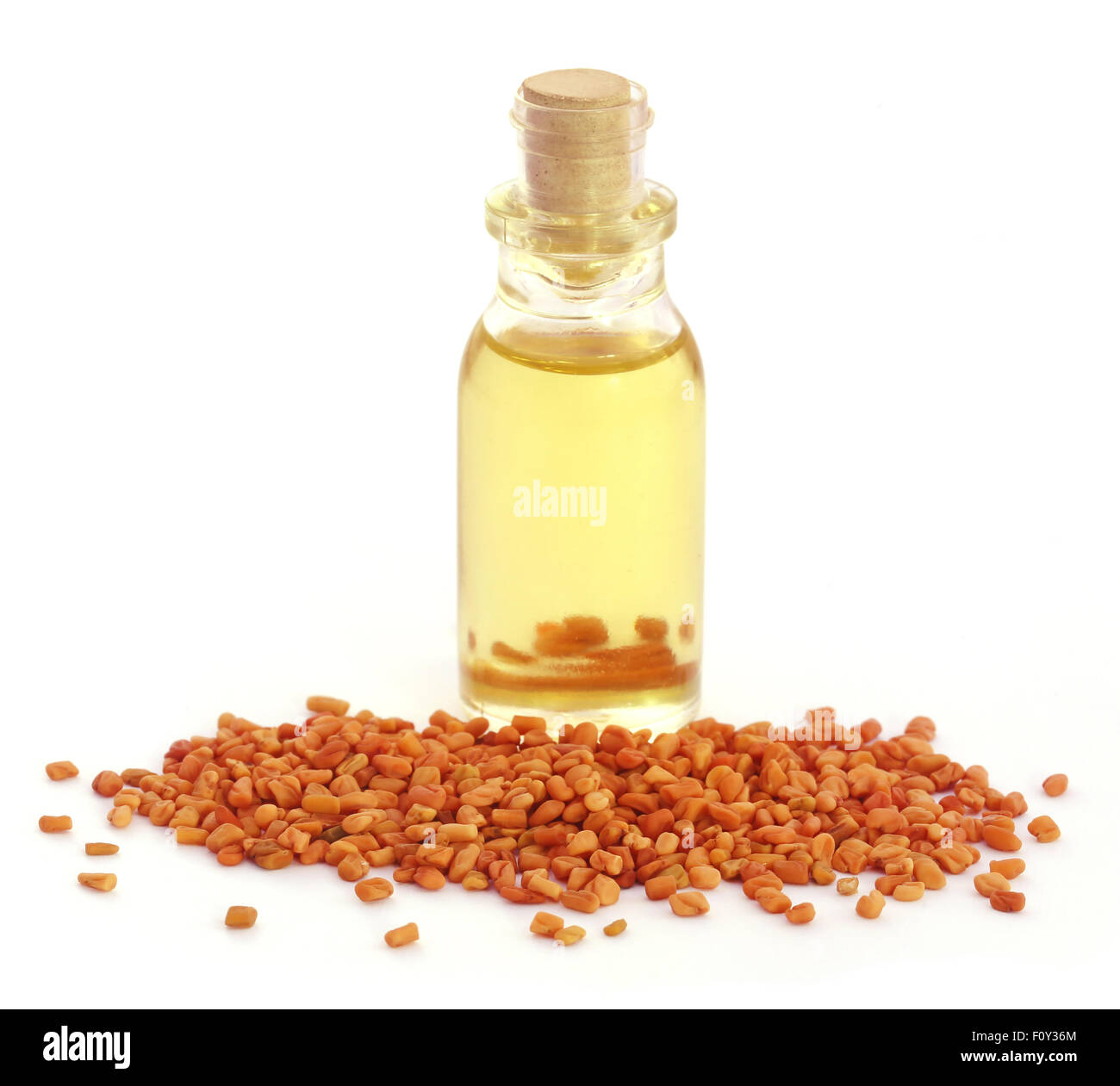 Fenugreek with oil in bottle over white background Stock Photo