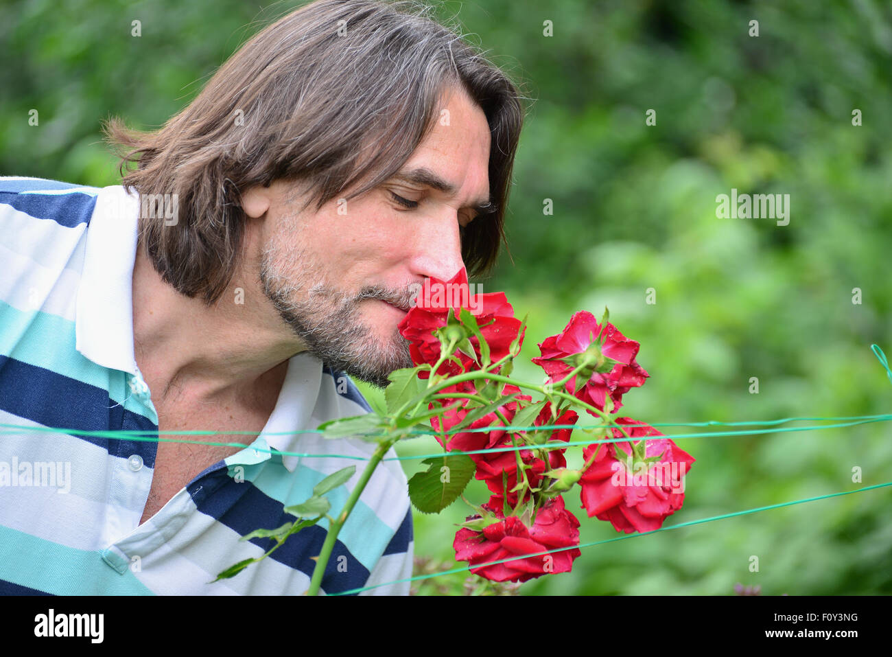 Man rose garden hi-res stock photography and images - Alamy