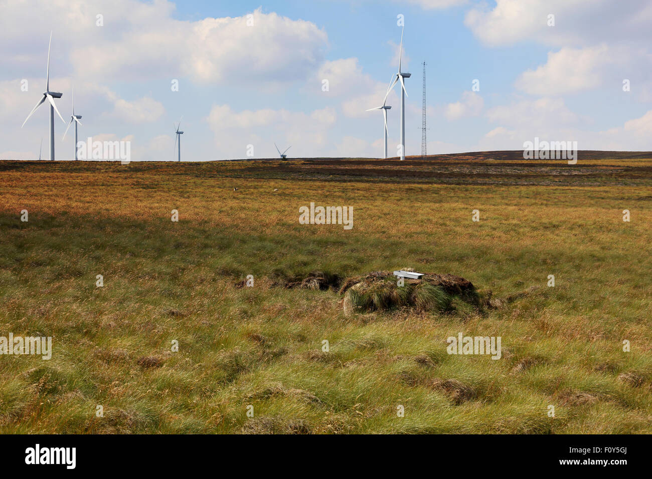 Grit feeding station for grouse on the lammermuir hills Stock Photo